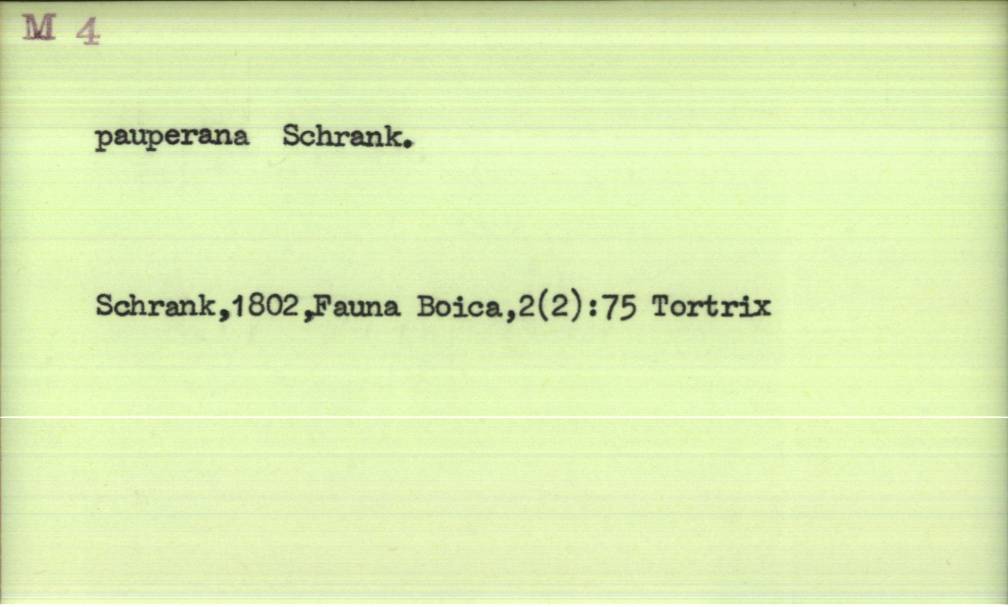 front of card
